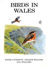 Birds in Wales (eBook)